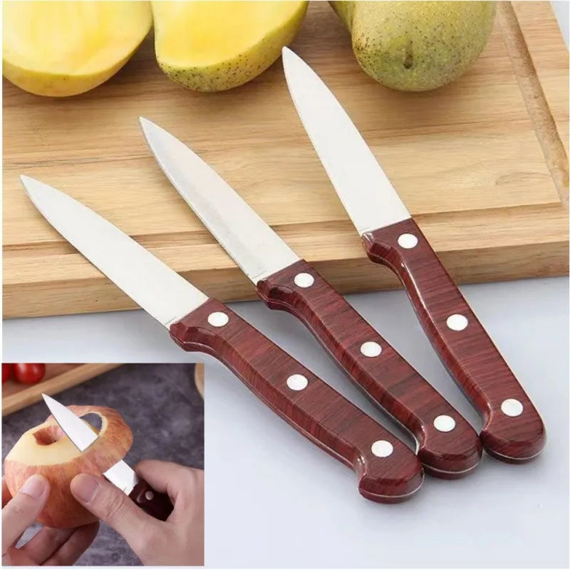 Sharp Stainless Steel Paring Knife – Fruit & Kitchen Knife