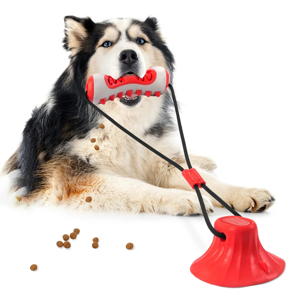 Dog Toys Teething Sticks Chewable Teeth Cleaning Bones Toothbrushes