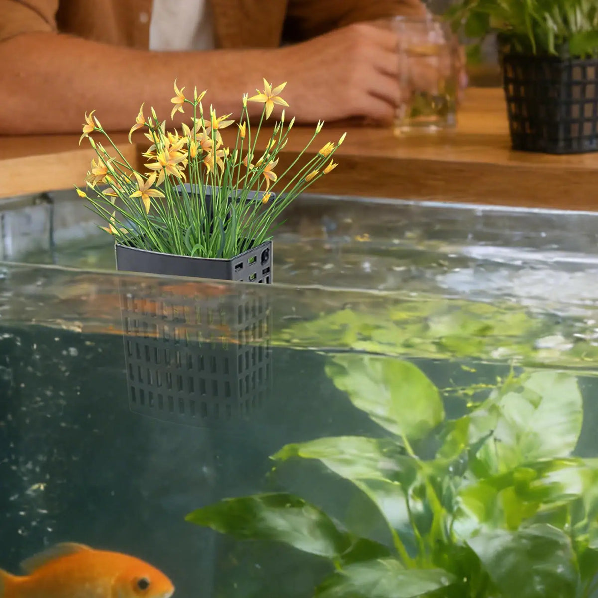 Adjustable Aquarium Plant Holder | Suction Cup & Hook