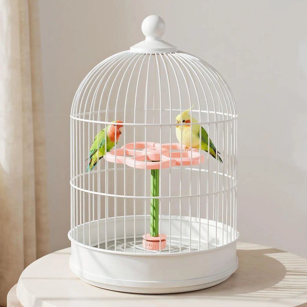 Bird Windmill Perch Sensory Toy | Parakeets Budgies Macaws