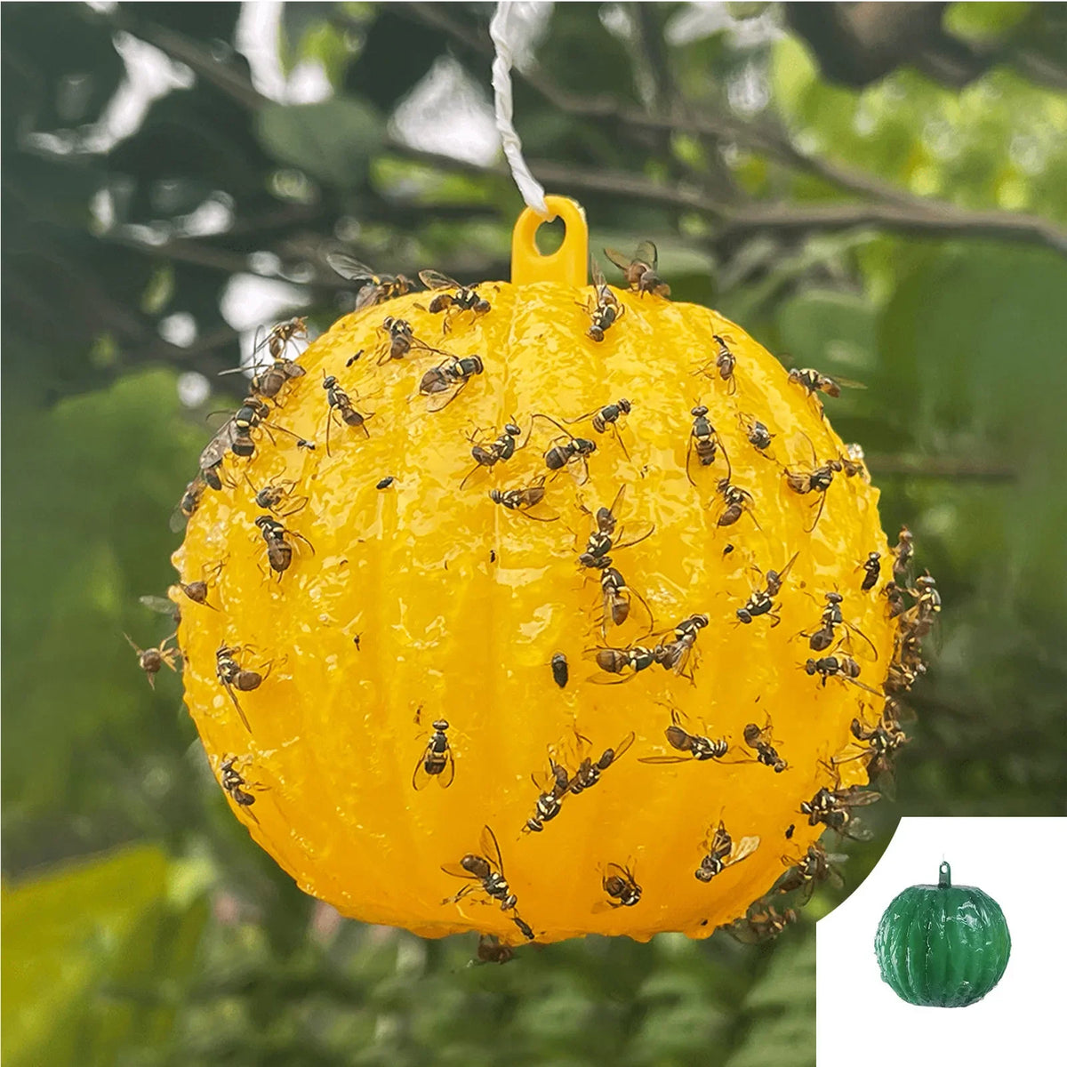 Sticky Fly Trap Ball | Dual Color Adhesive Hanging Insect Catcher