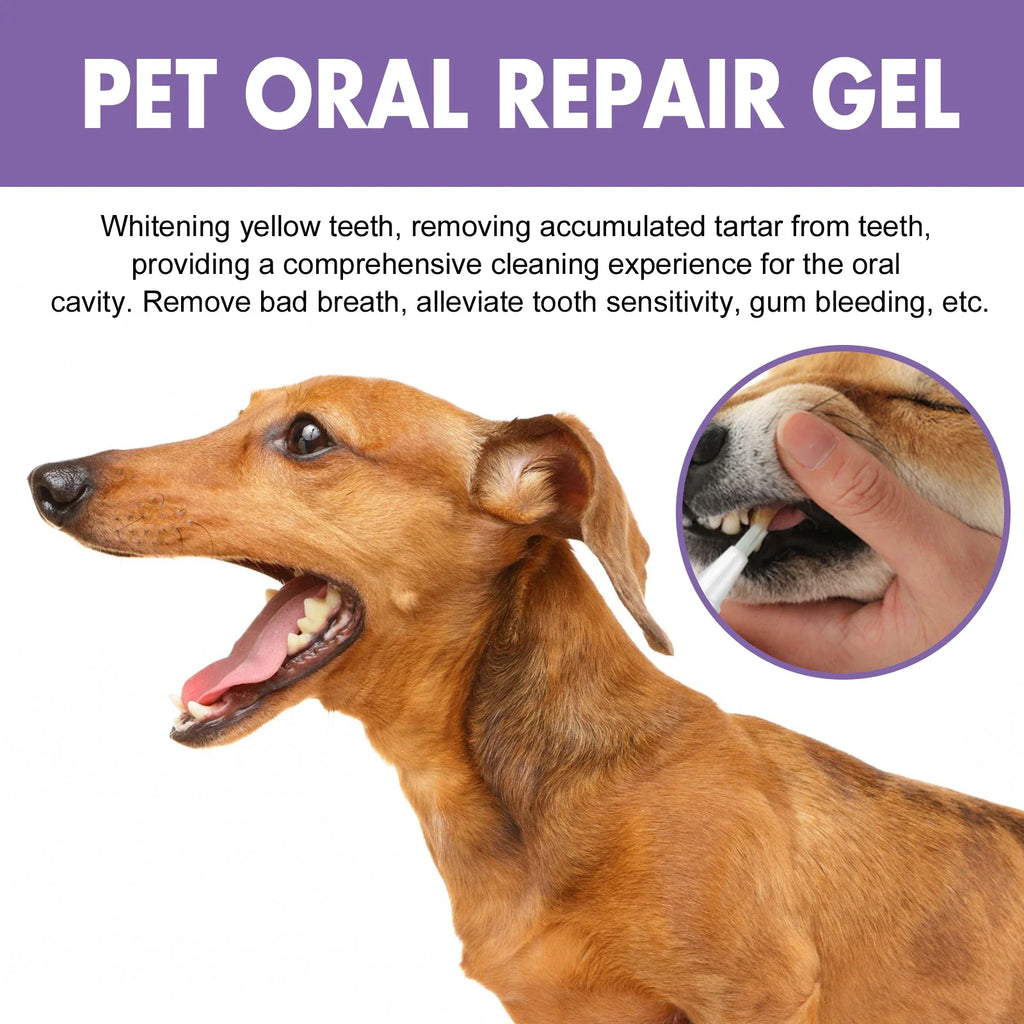 YEGBONG Pet Oral Repair Gel – Dog Teeth Cleaning Pen 2-Pack
