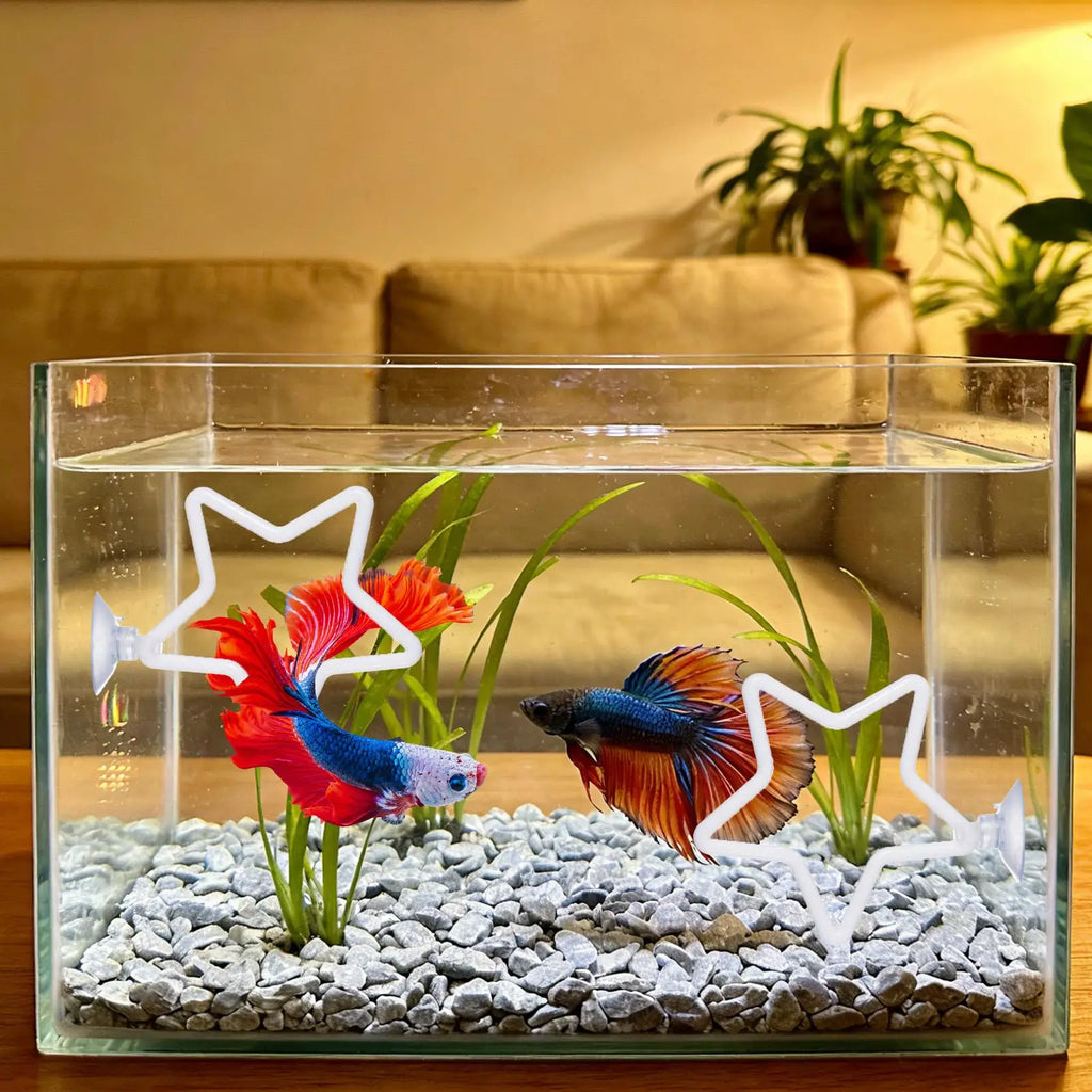 Betta Fish Exercise Rings & Filter Balls | Interactive Aquarium Toy