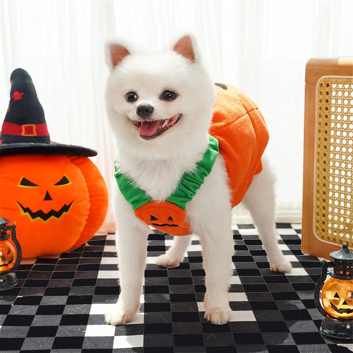 Halloween Pumpkin Costume for Dogs & Cats | Funny Pet Outfit