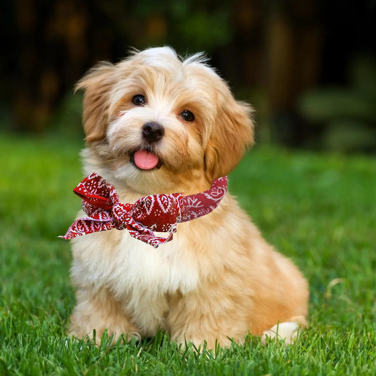 Pet Cooling Bandana Scarf – Ice Collar for Dogs & Cats