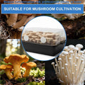 30-Pack Adhesive Monotub Filter Disks for Mushroom Growing