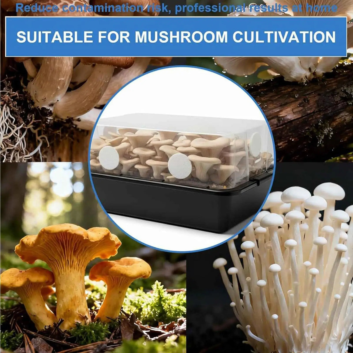 30-Pack Adhesive Monotub Filter Disks for Mushroom Growing