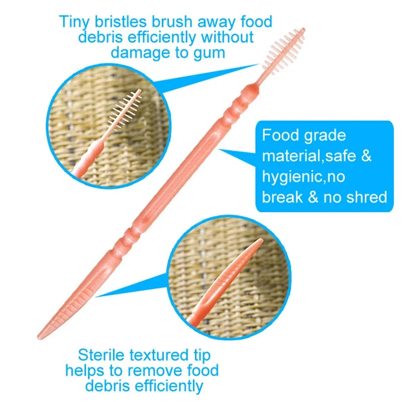 100-Pack Double Head Dental Toothpick Brush & Floss Picks