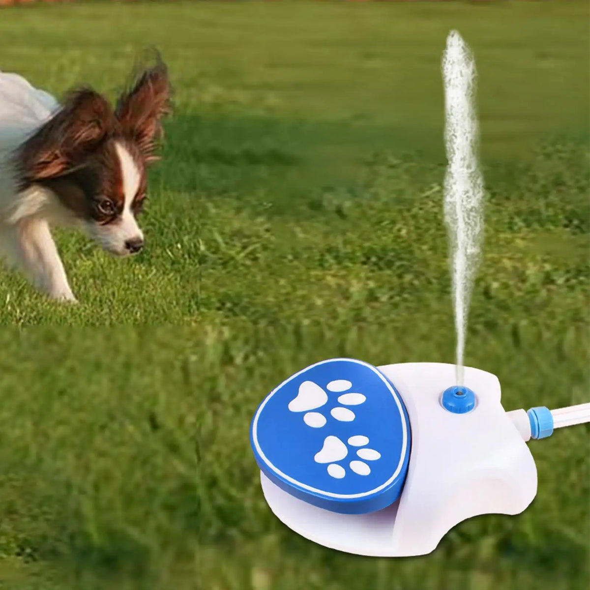 Paw-Activated Outdoor Dog Water Fountain with Hose