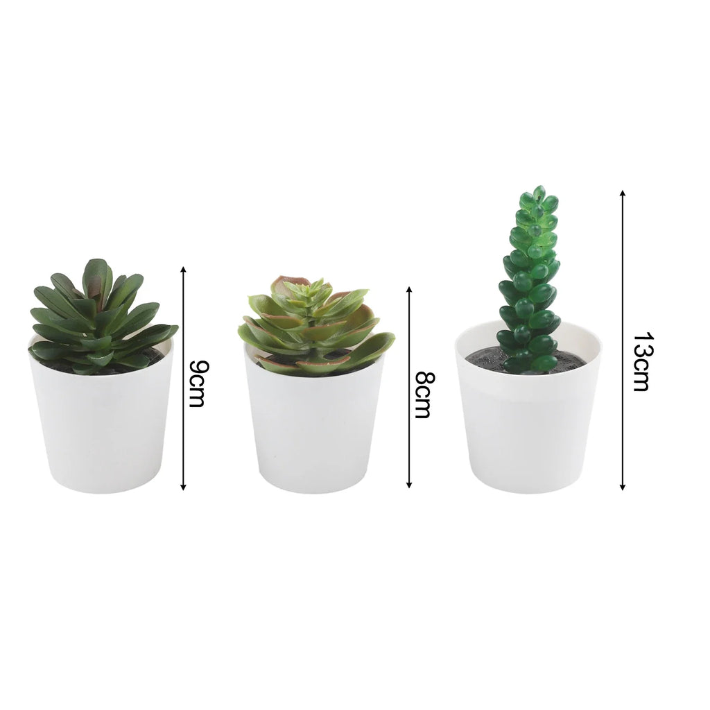 Artificial Succulent Bonsai Set of 3 – Faux Desktop Decor