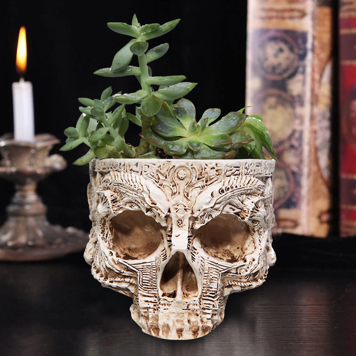 Halloween Skull Flower Pot | Gothic Skeleton Planter Decor