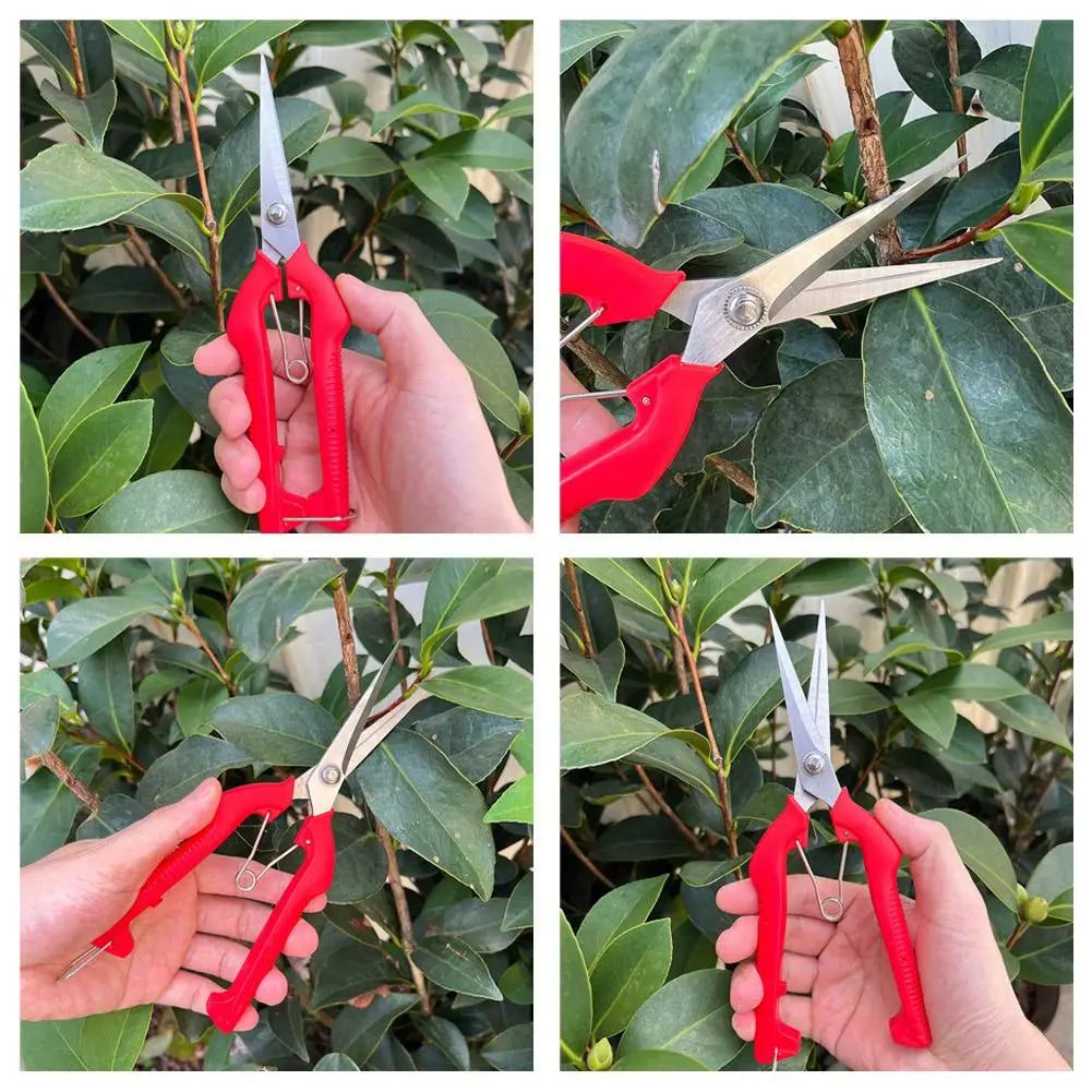 Stainless Steel Fruit Picking Pruning Shears | Garden Scissors