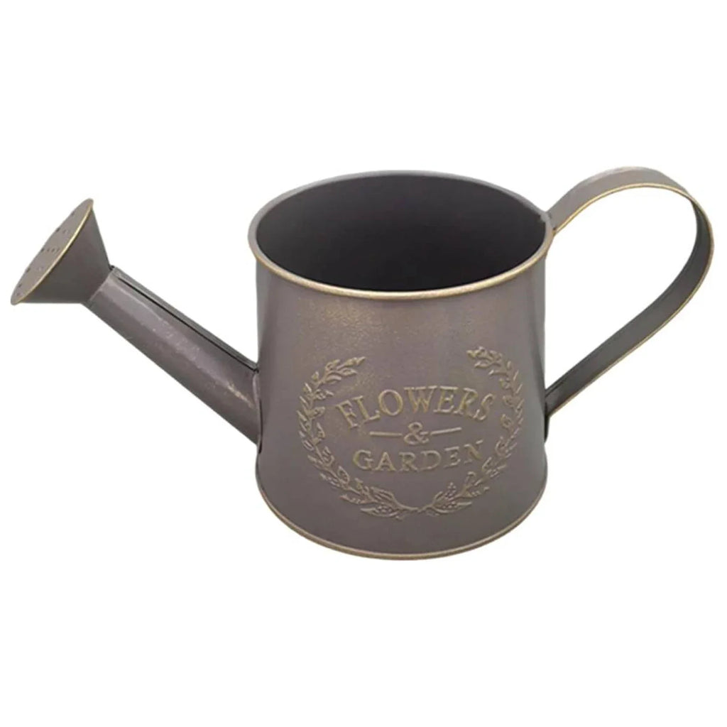 Metal Garden Watering Can Handle Small Bucket Vintage Pot Succulents