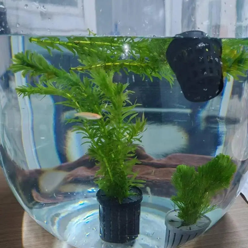 4-Pack Aquarium Net Planter Cups | Hydroponic Fish Tank Baskets