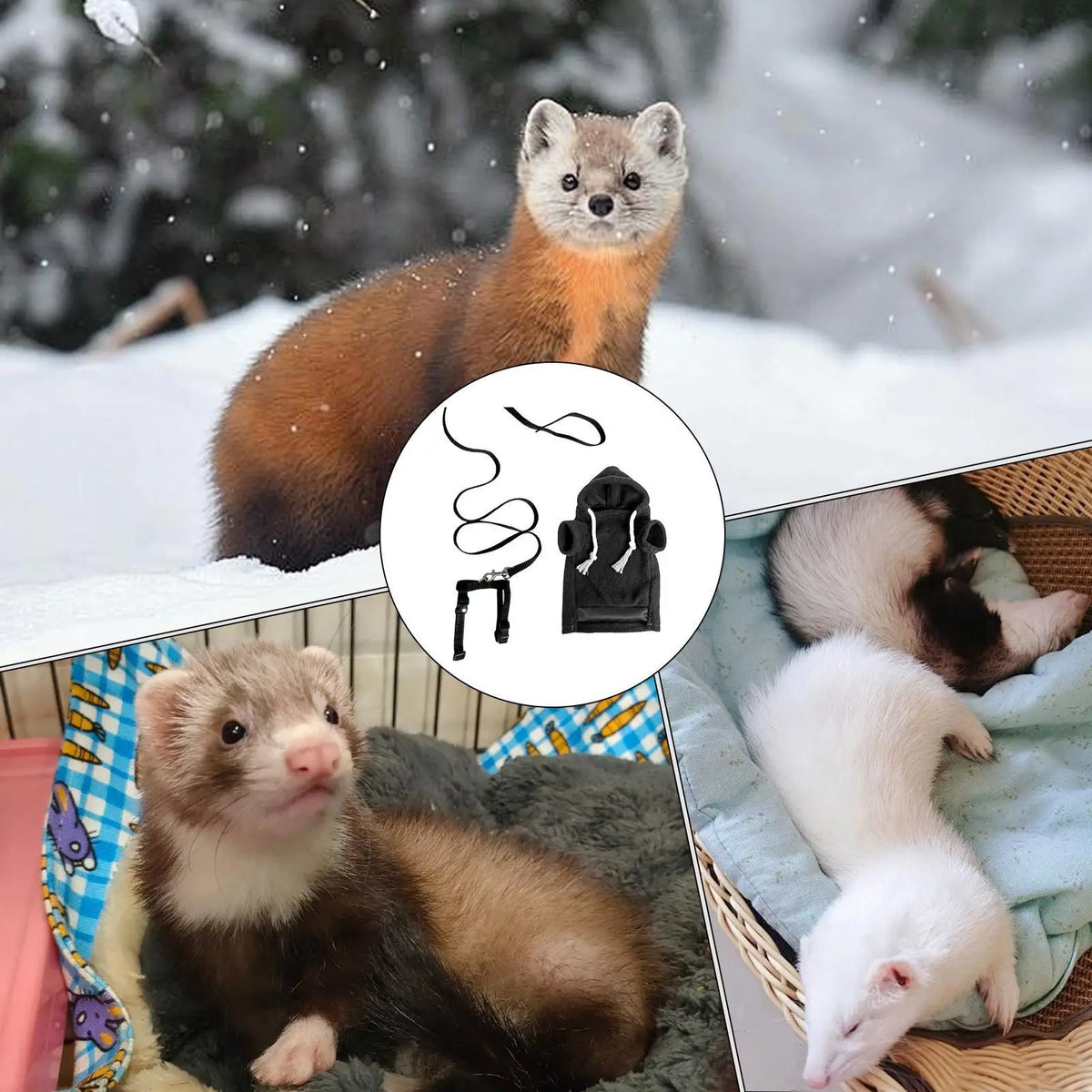 Ferret Hoodie Costume & Harness Set for Small Pets