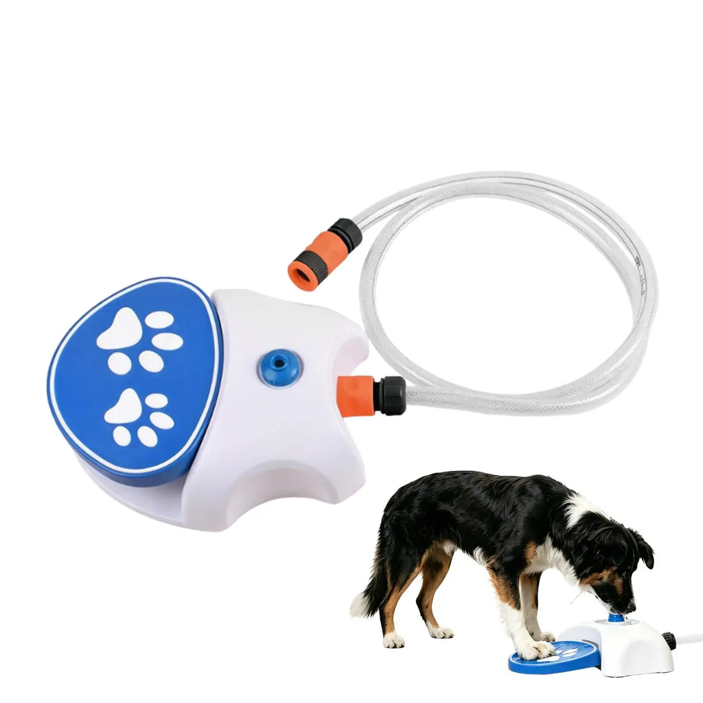 Paw-Activated Outdoor Dog Water Fountain with Hose