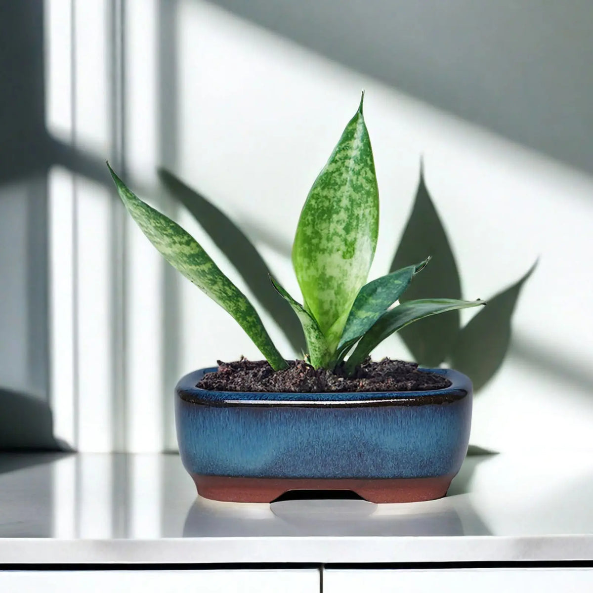 Ceramic Flower Pots with Drainage & Vent – Indoor & Outdoor