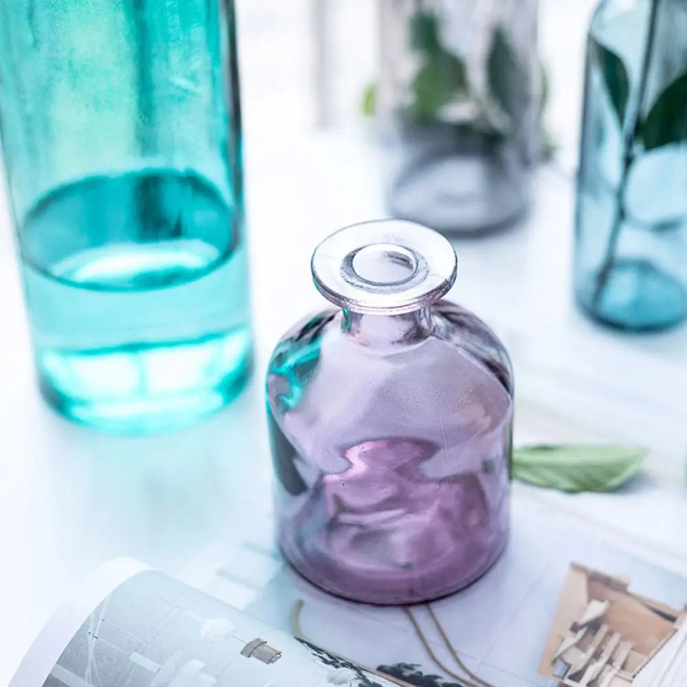 Transparent Glass Flower Vase | Modern Hydroponic Table Decor