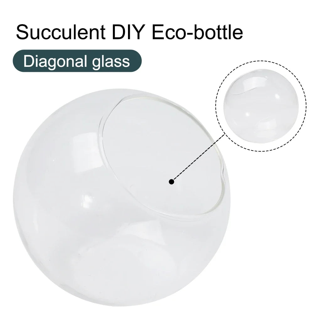 Terrarium Container Micro Landscapes Elegant Design Open Mouth Ideal