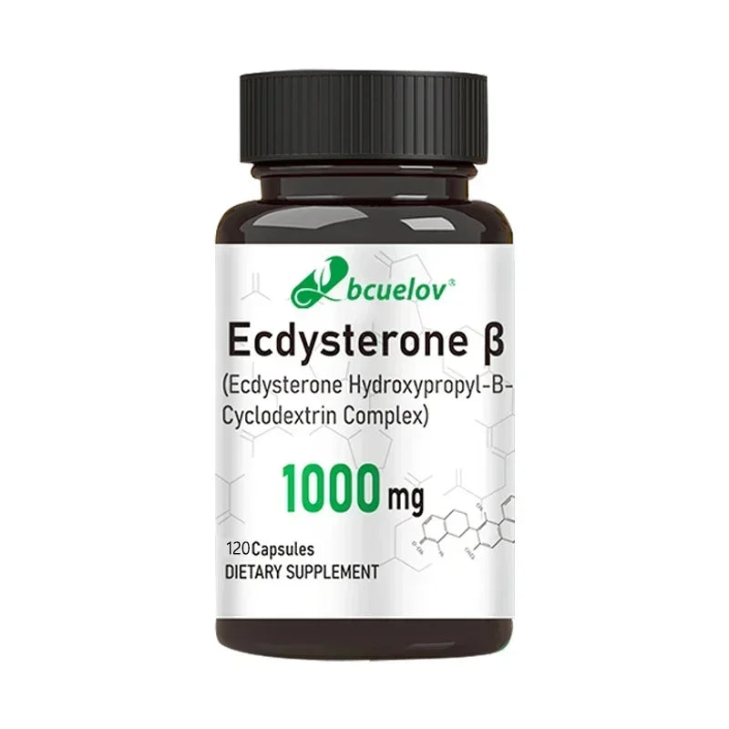 Ecdysterone Capsules – Lean Muscle & Athletic Performance Support