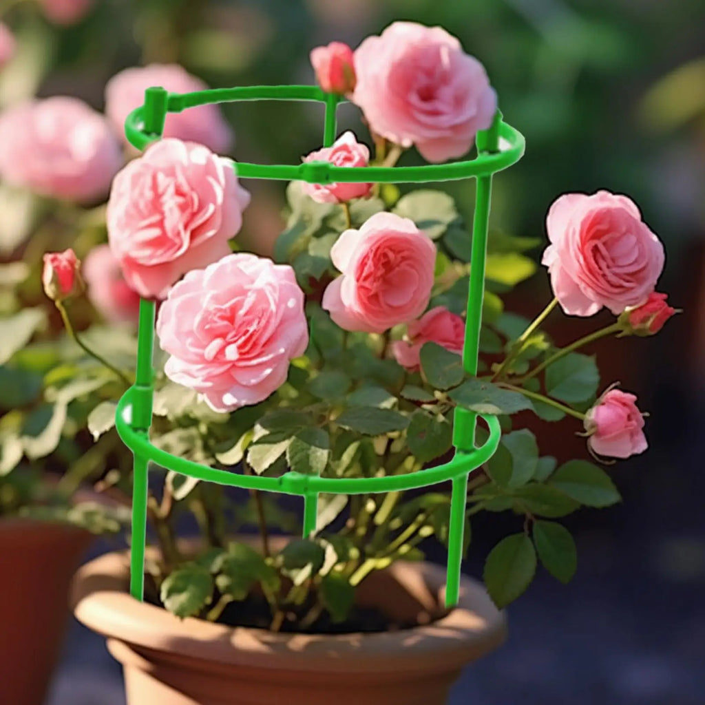 Round Tomato Cage Plant Support Trellis | Climbing Plant Stake