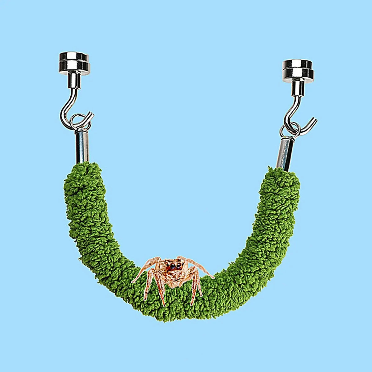 Terrarium Climbing Bridge Swing | Spider, Gecko & Hermit Crab