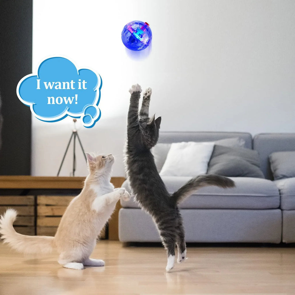 LED Motion-Activated Cat Balls – Interactive Light-Up Pet Toys 3pk
