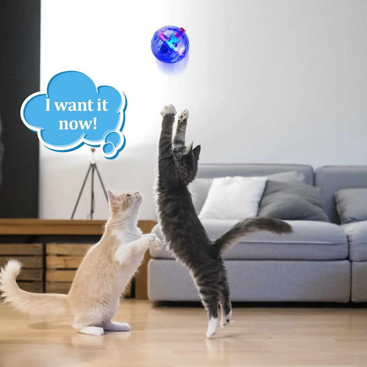 LED Motion-Activated Cat Balls – Interactive Light-Up Pet Toys 3pk
