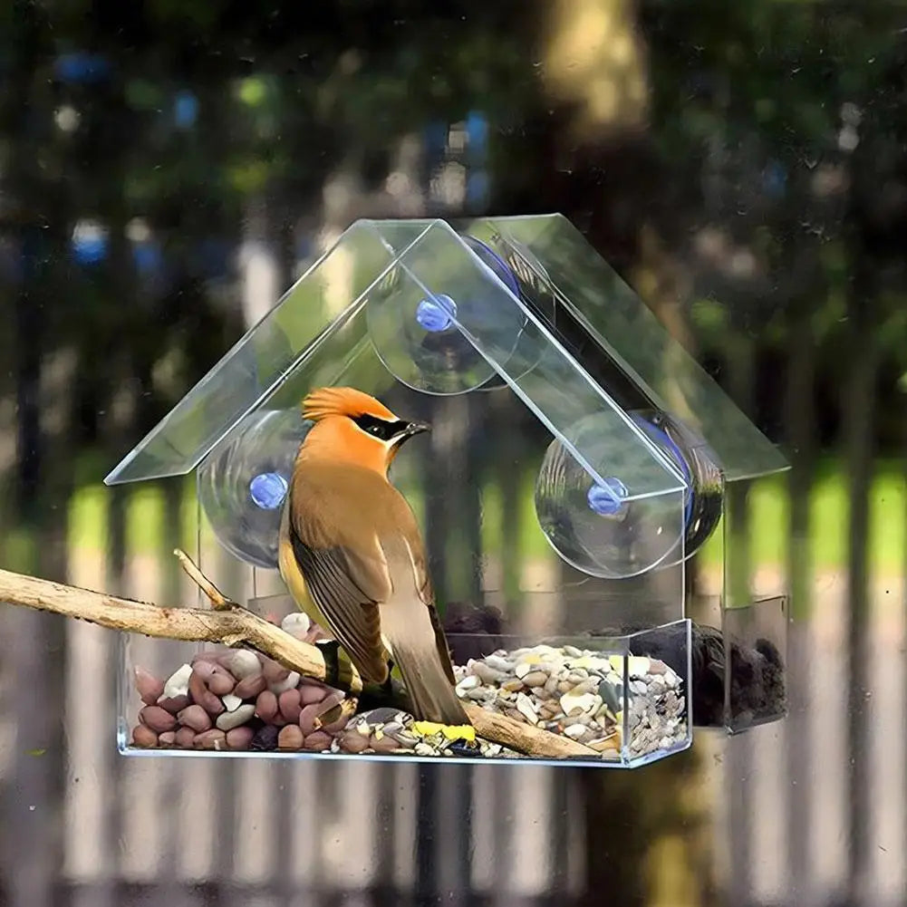 Clear Acrylic Window Bird Feeder with Suction Cup – Outdoor
