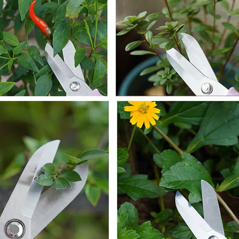 Bypass Pruning Shears – Stainless Steel Garden Scissors