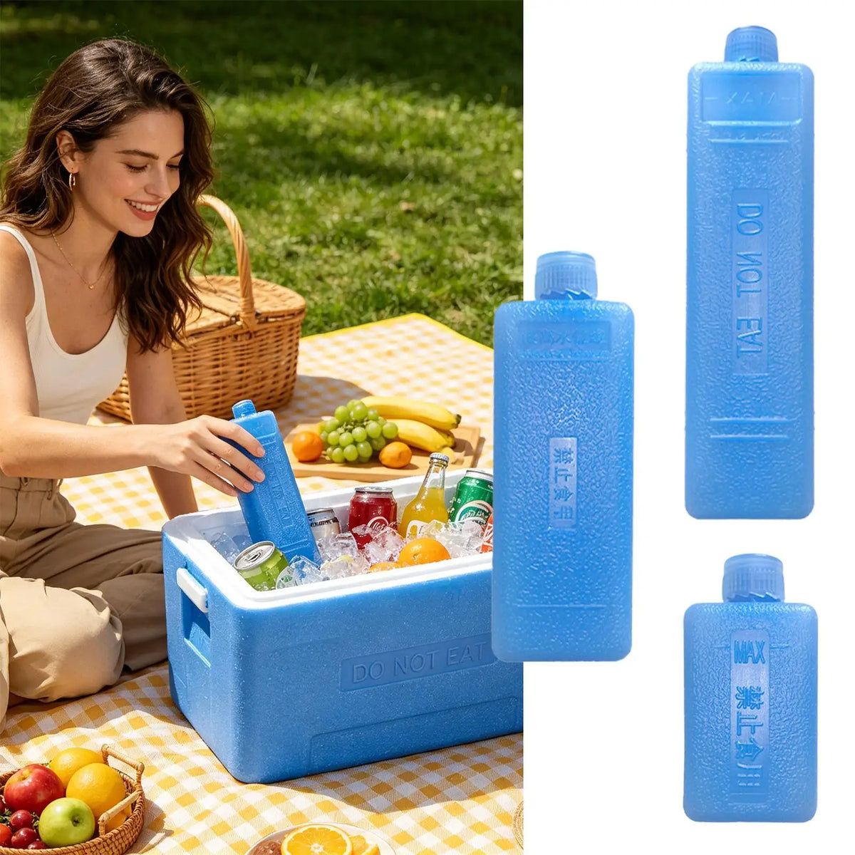 Reusable Ice Packs for Coolers, Lunch Boxes & Camping