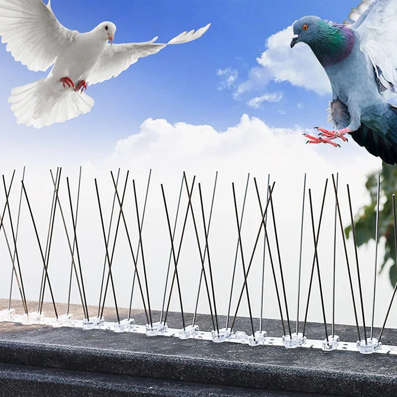 Stainless Steel Balcony Anti-bird Repellent Thorn Nail Pigeon Spikes
