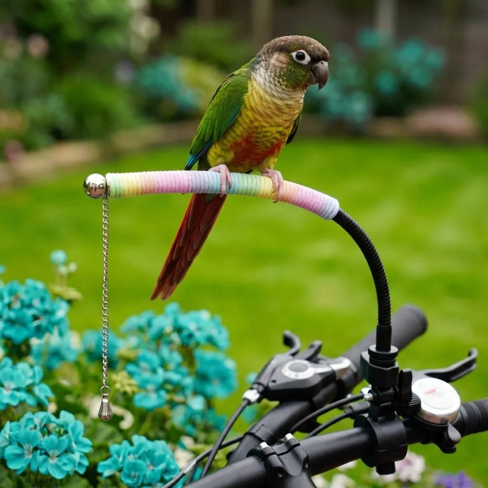 Adjustable Bike Parrot Perch Stand with Anti-Escape Chain 46cm