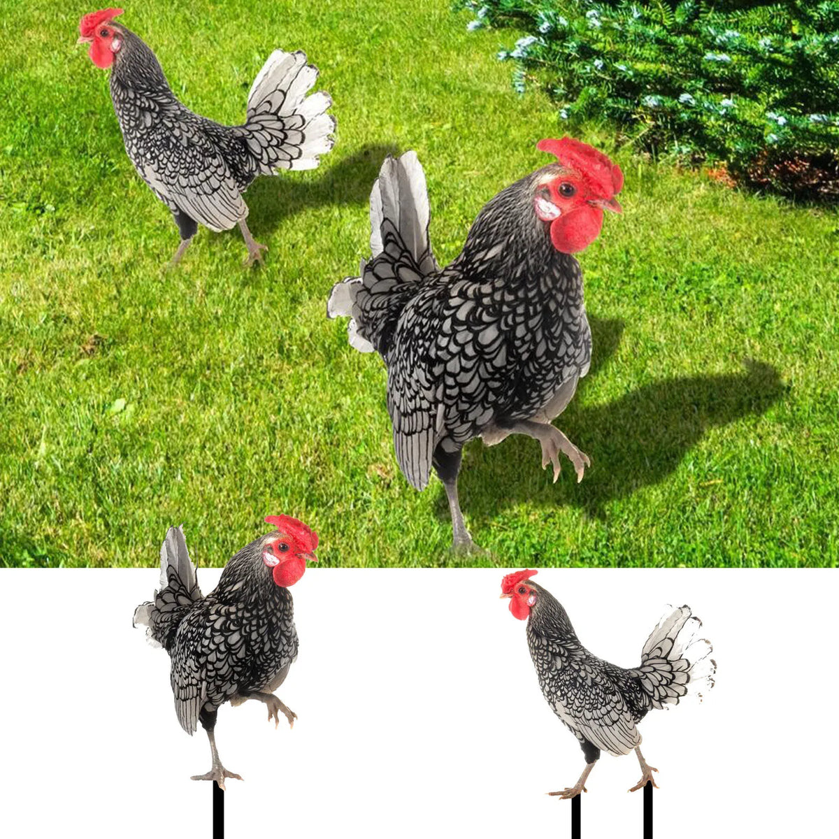 2D Acrylic Rooster & Hen Garden Stake Statues | Yard Art Decor