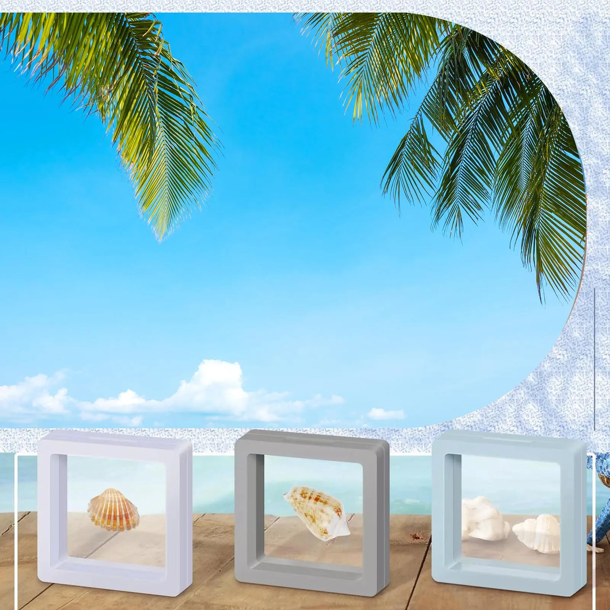 3D Floating Seashell Display Box | Acrylic Craft Organizer Case