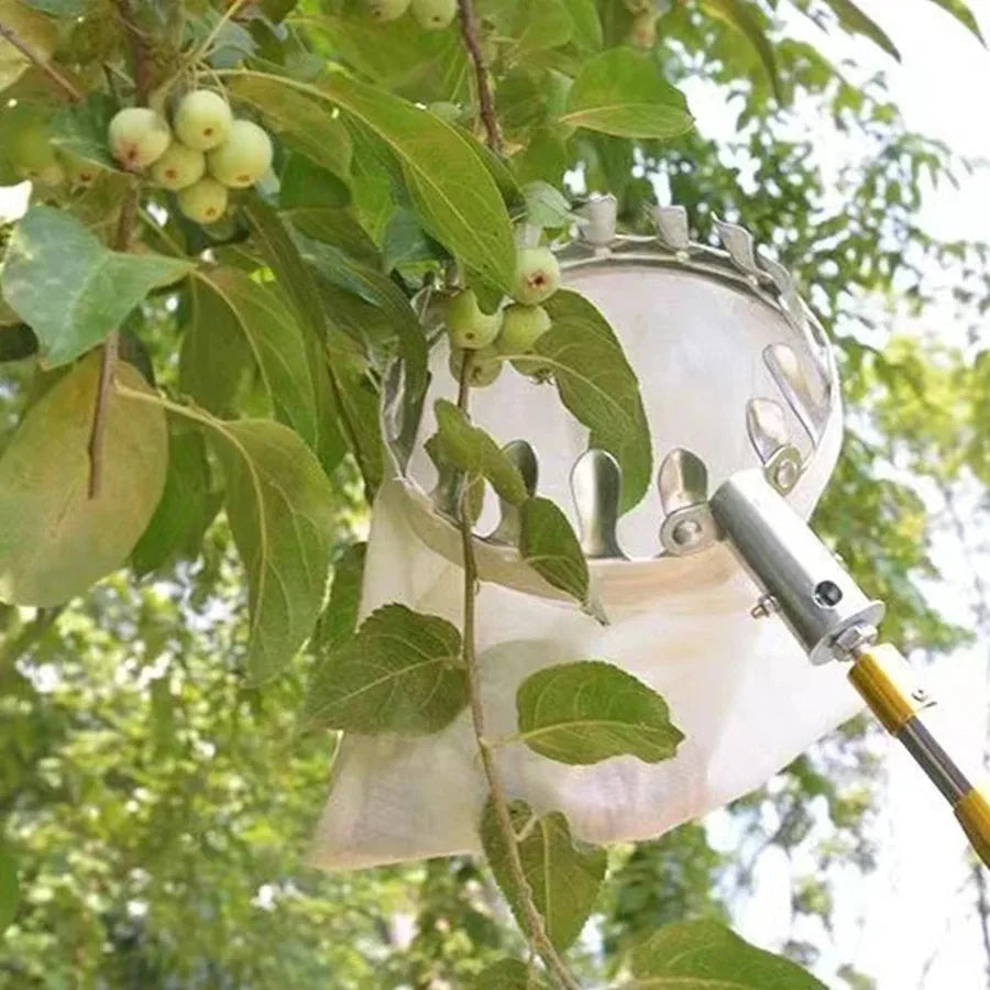 Adjustable Long Reach Fruit Picker Tool | Apple Cherry Berry