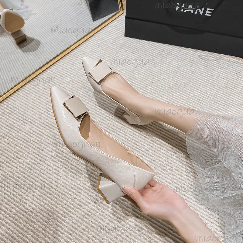 Women's Low Heel Pumps – Pointed Toe Slip-On Dress Shoes