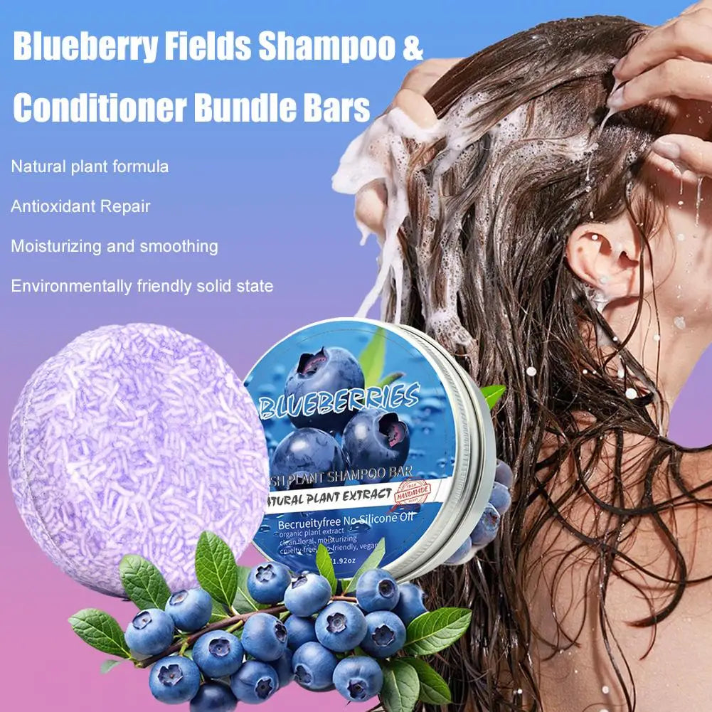 Blueberry Solid Shampoo & Conditioner Bar – Frizz & Thinning