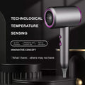 HOMEFISH 2000W Negative Ion Hair Dryer | Salon & Home