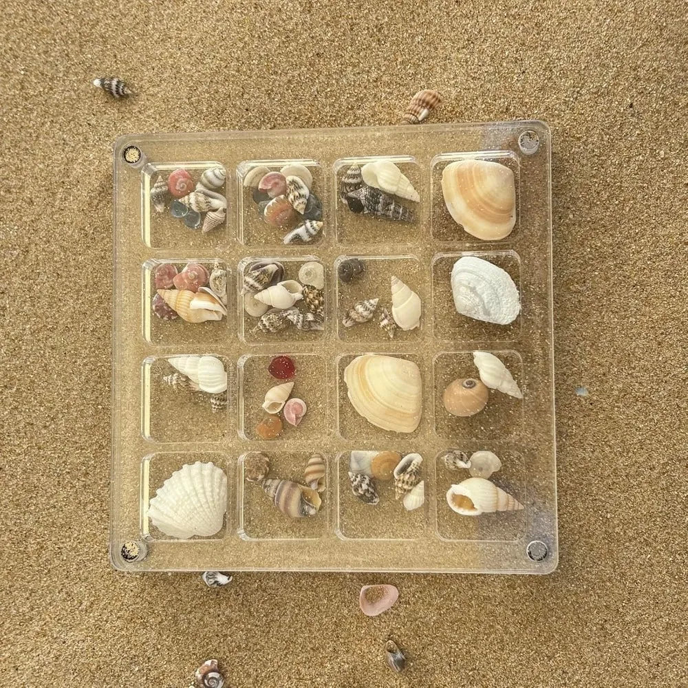16-Grid Seashell Display Box Magnets Acrylic Storage Organizer