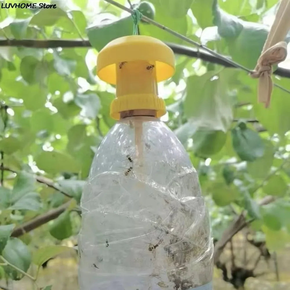 10-Pack Yellow Sticky Fruit Fly Traps | Hanging Insect Catchers