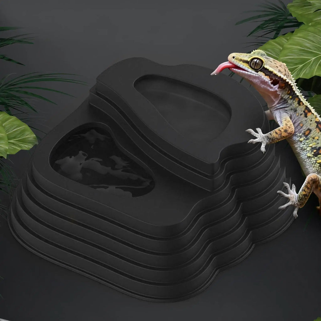 Anti-Slip Reptile Bathing Pool & Dish with Ramp | PVC