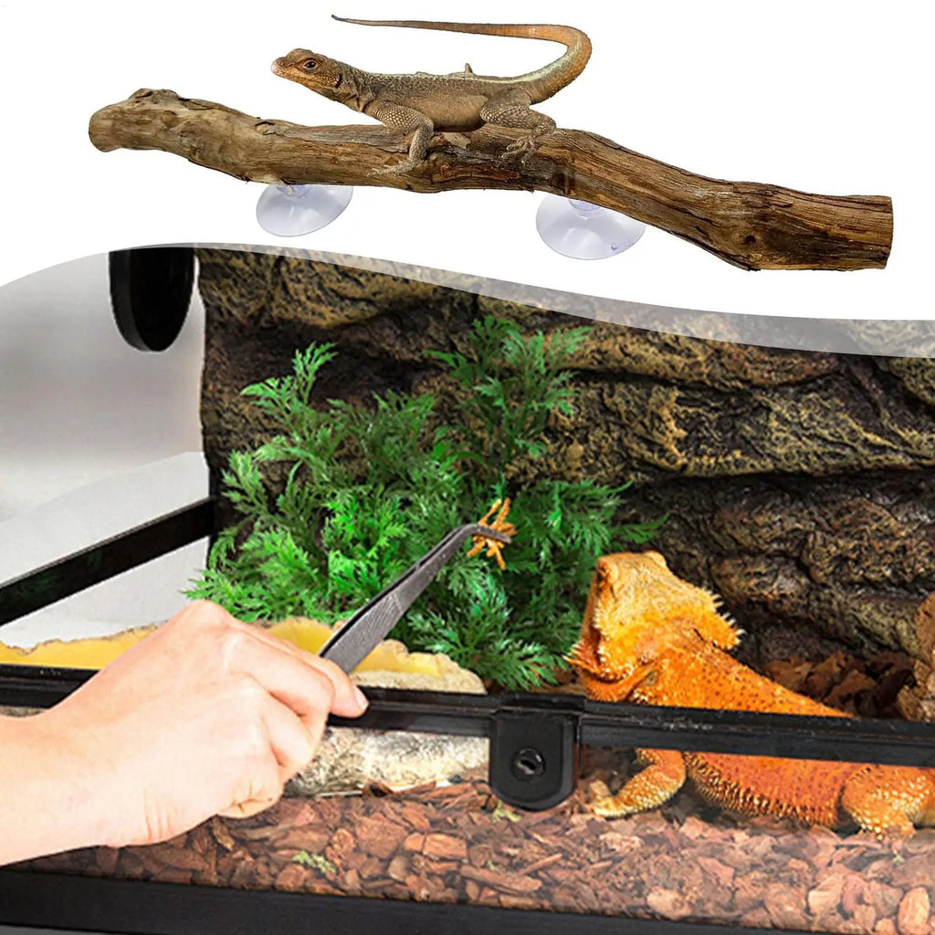 Snake Climbing Branch Unique Decor Natural Non-slip Habitat