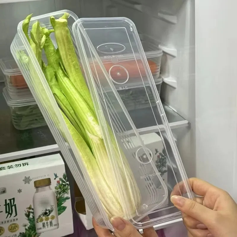 Fresh Box Refrigerator Storage Boxes Scallions Food Container Lid