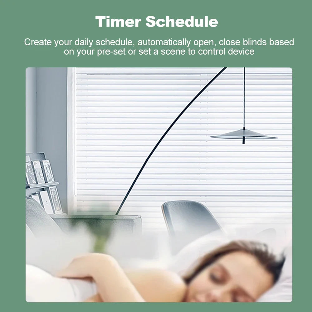 Smart Blind Motor Wifi Automatic Electric Roller Shutter Shadows App