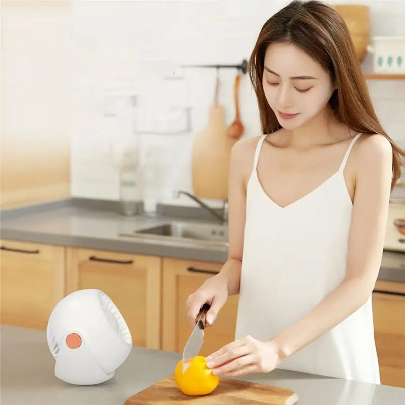 USB Desktop & Wall Mount Fan – 3-Speed Portable Rechargeable