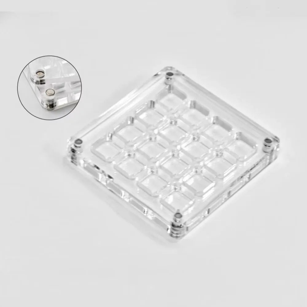 16-Grid Seashell Display Box Magnets Acrylic Storage Organizer