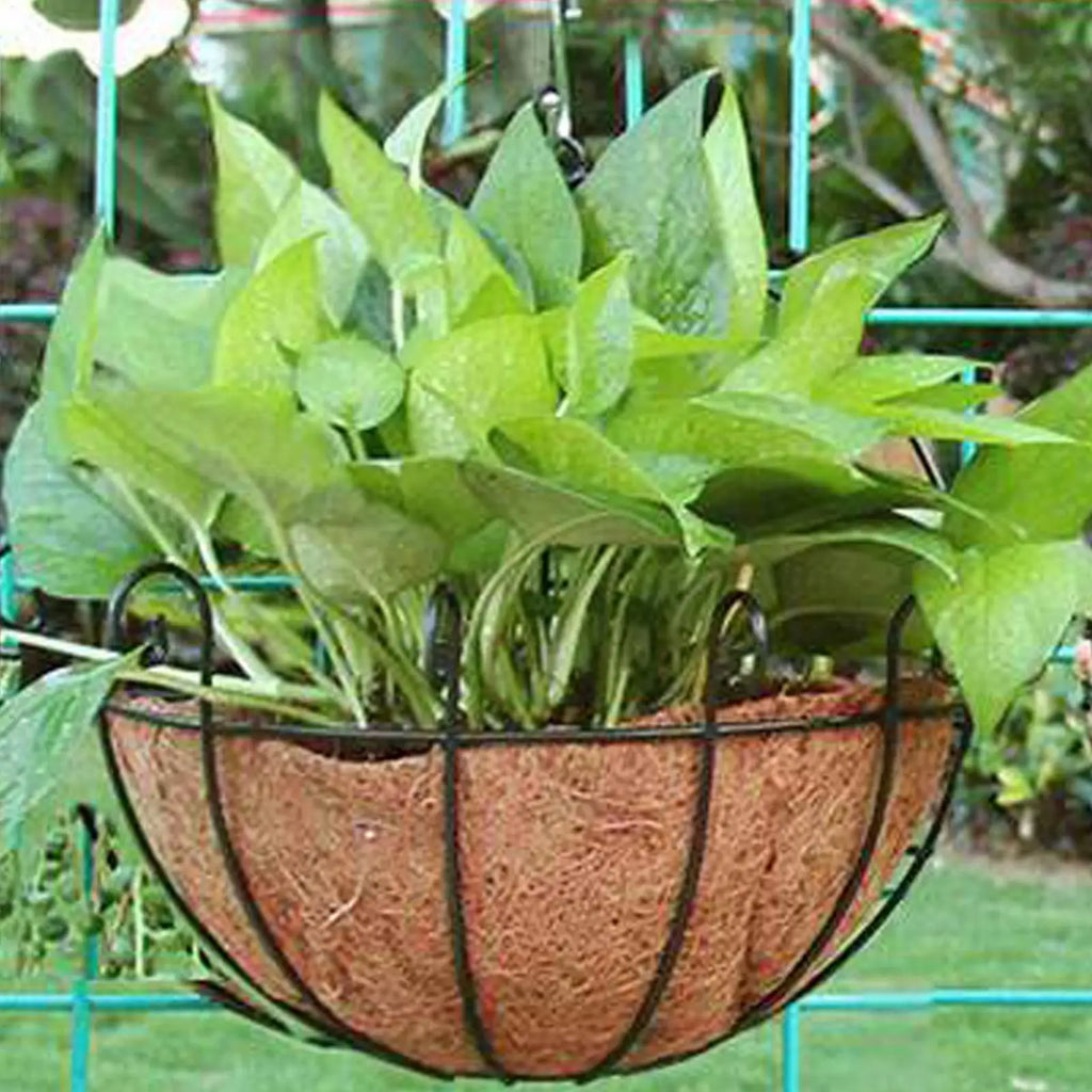 Natural Coconut Coir Basket Liner | Half Round Garden Planter