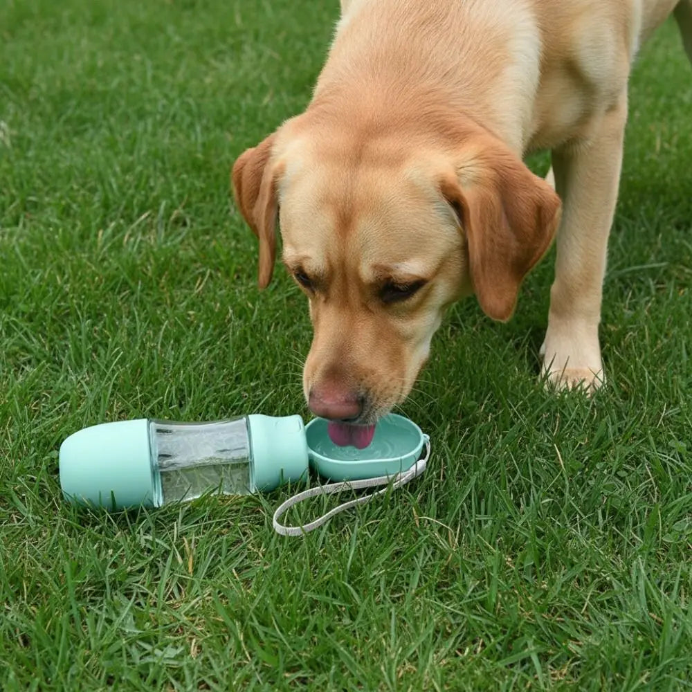Leak-Proof Dog Travel Water Bottle with Filter | 380–500ml