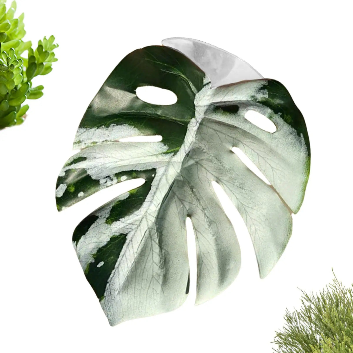 Jumping Spider Leaf Terrarium Decor with Suction Cup Mount